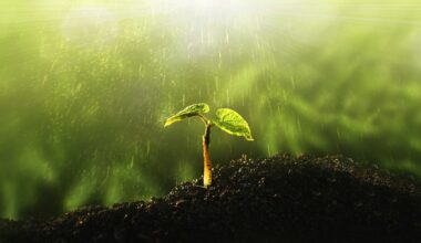 Deux accompagnements pour aider les entreprises à intégrer les enjeux environnementaux et de biodiversité