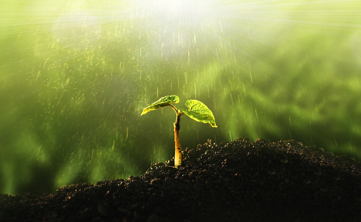 Deux accompagnements pour aider les entreprises à intégrer les enjeux environnementaux et de biodiversité