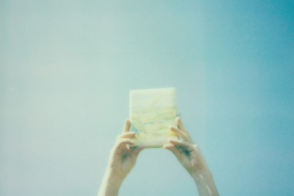 Alice 2 par Anne-Cécile Esteve.