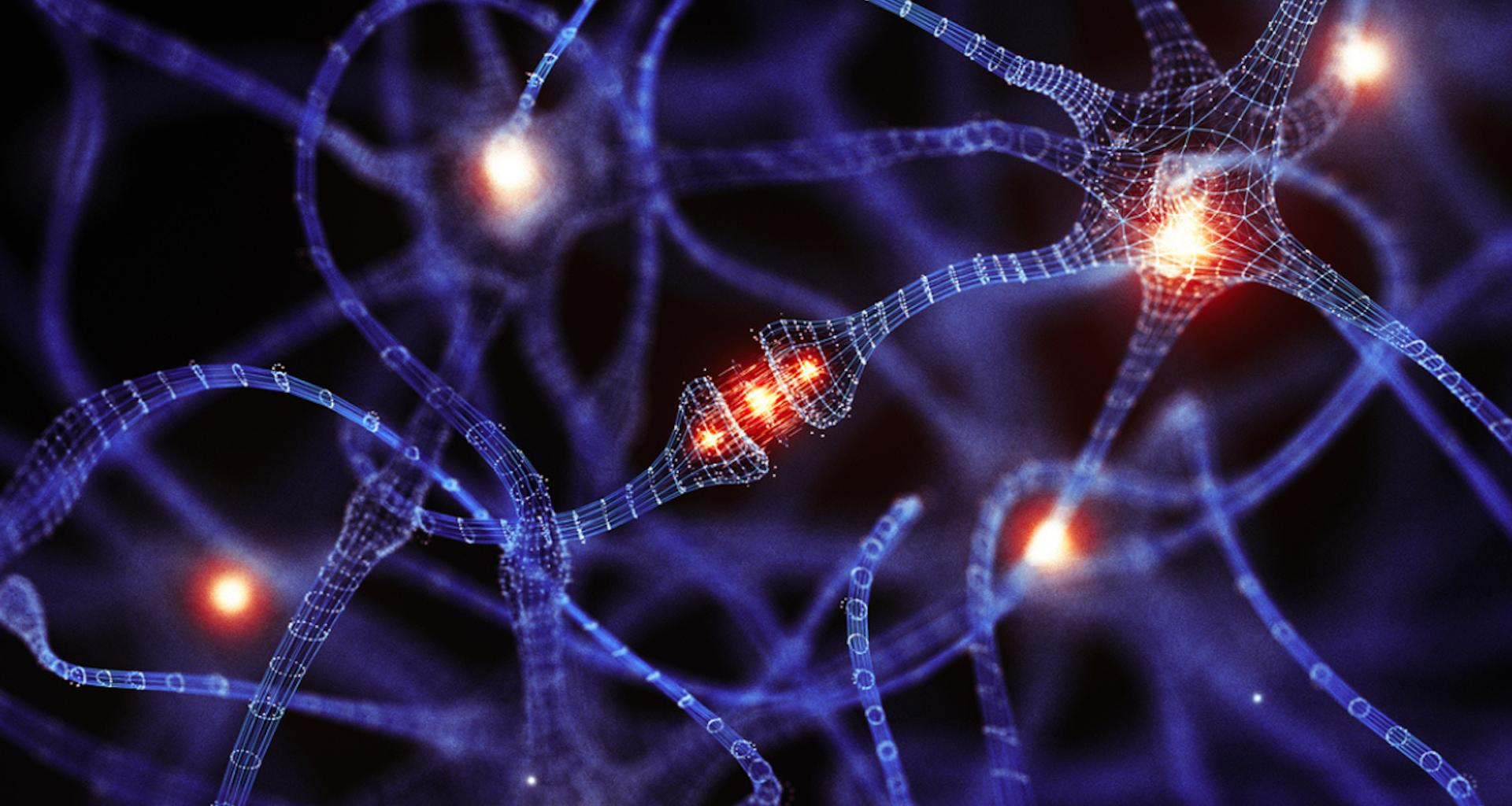 un secret enfoui du cerveau ouvre une voie totalement inattendue