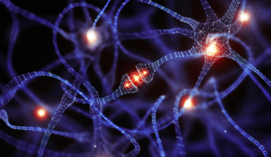 un secret enfoui du cerveau ouvre une voie totalement inattendue