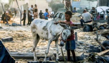L’Allemagne ouvre ses portes aux ânes de Gaza… mais pas aux Gazaouis