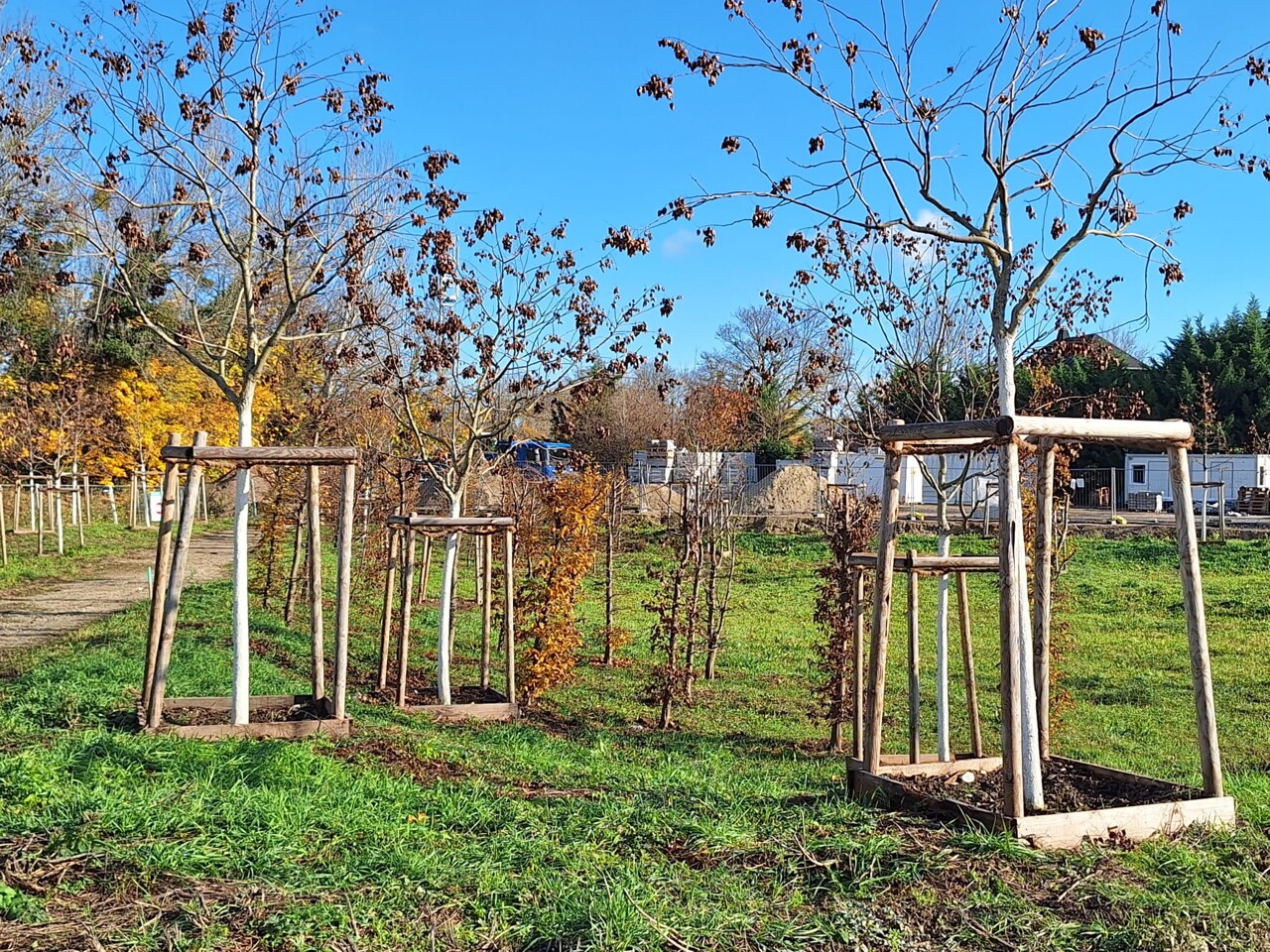 voici où auront lieu les prochaines plantations d'arbre