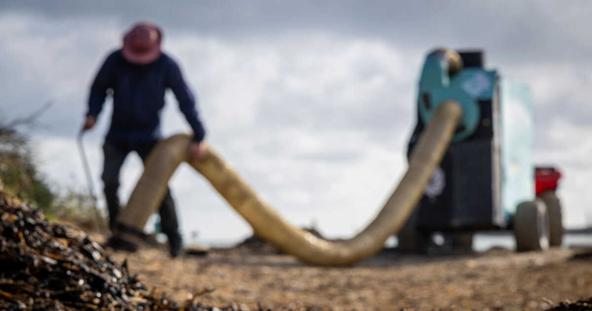 Au Royaume-Uni, la "mafia des déchets" ravage l'environnement et les autorités peinent à réagir
