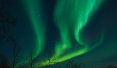Toulouse. Un spectacle d'aurores boréales va illuminer le centre-ville pour Noël