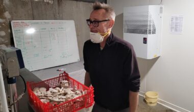 une champignonnière au sous-sol d’un HLM pour recréer du lien et empêcher les squats