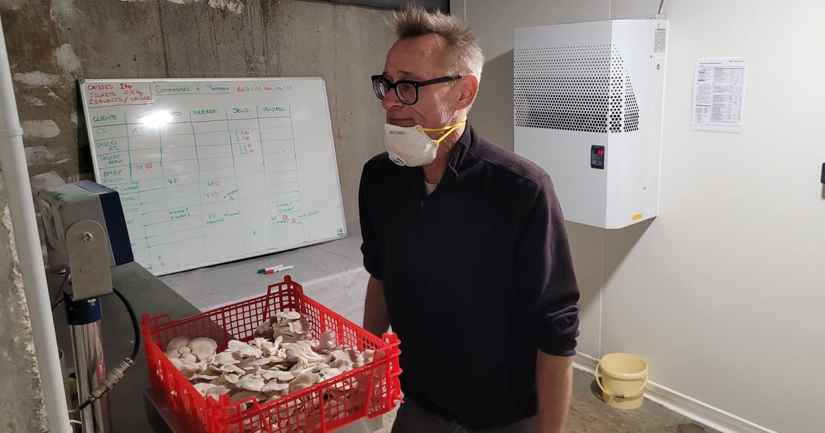 une champignonnière au sous-sol d’un HLM pour recréer du lien et empêcher les squats