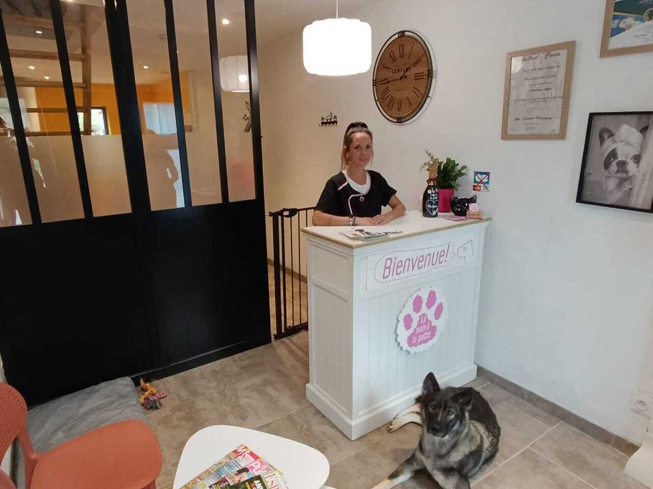 une toiletteuse à domicile ouvre son salon pour chiens et chats au sud de Toulouse