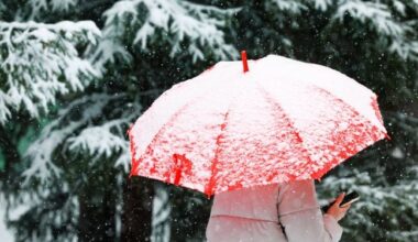 Page d'accueil Yahoo news