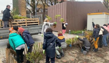 La Madeleine. La place du marché rénovée accueille (enfin) de la végétation