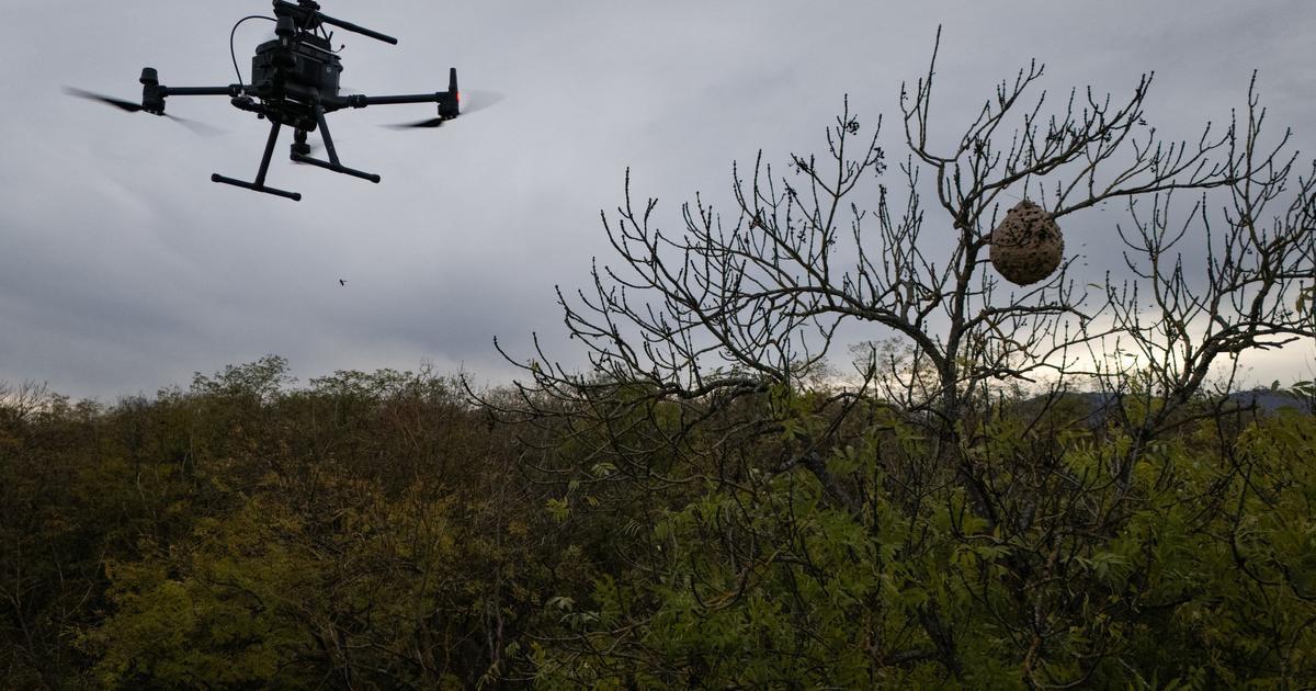 des avions de chasse mobilisés après la nouvelle incursion de drones