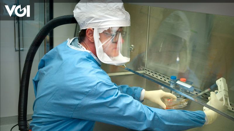 cobane se propage au Canada, au Royaume-Uni au Japon