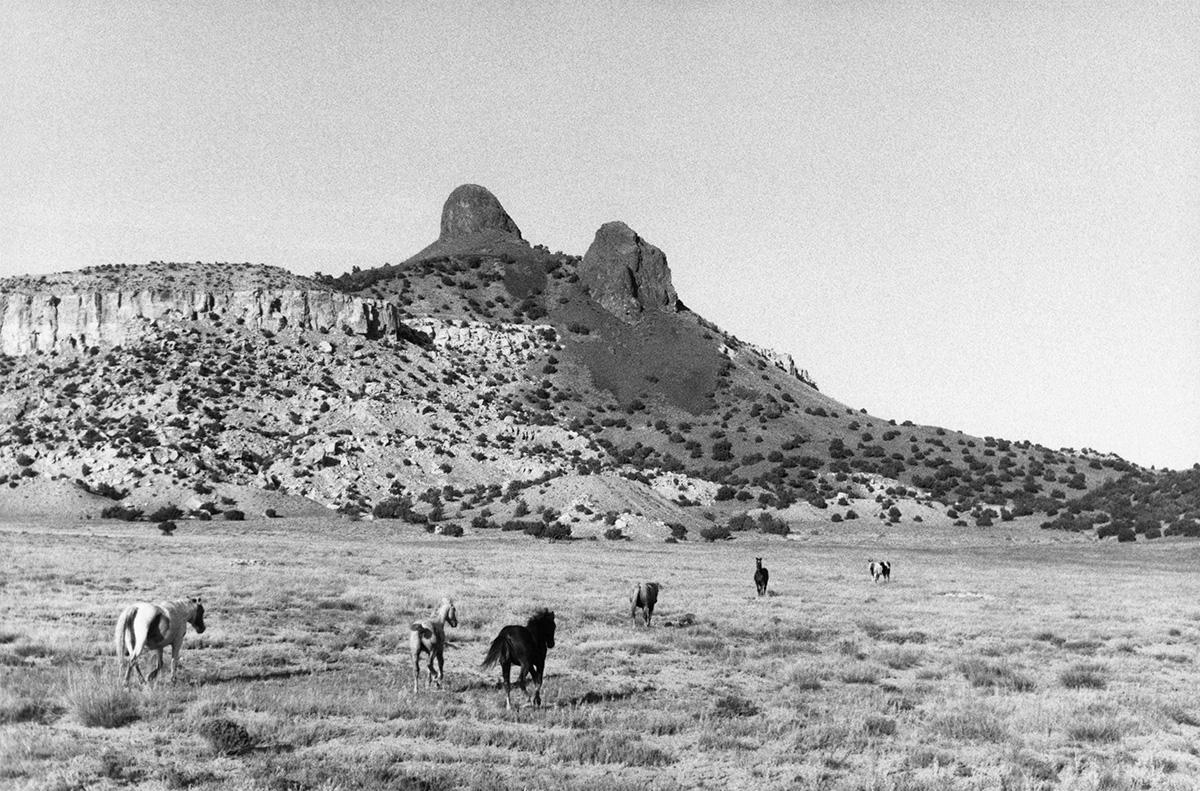 Bernard Plossu revient cette semaine avec une exposition issue du « Jardin de poussière », livre mythique paru en 1989.