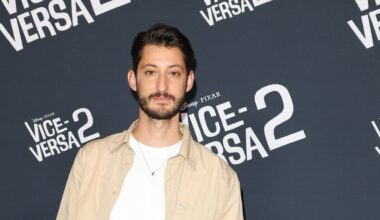 Pierre Niney : "Mais alors vraiment...", il recadre Emmanuel Macron et ça pique