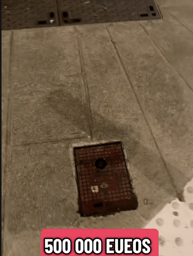 1 MILLION D'EUROS POUR OBSTRUER TOUTES LES BOUCHES D'ARROSAGE DES TROTTOIRS !