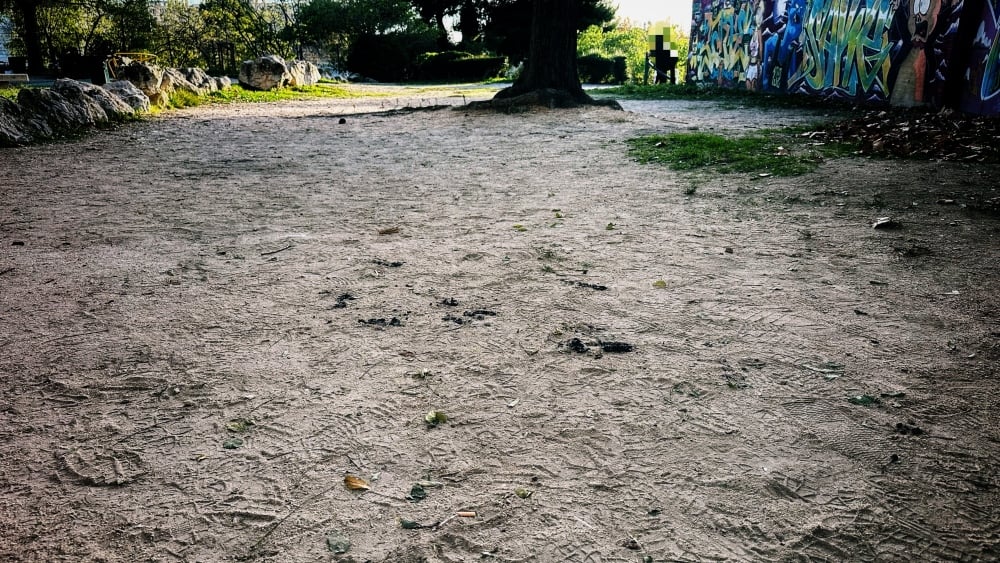 Le corps retrouvé carbonisé aux Arnavaux à Marseille est celui d'un adolescent de 15 ans