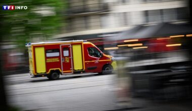 Lille : un étudiant de 19 ans tué par un chauffard après un refus d'obtempérer