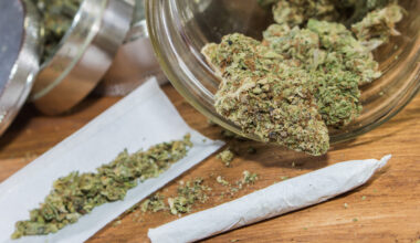 quelles sont les nouvelles tendances à Toulouse ?