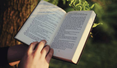 dans cette commune, 7 boîtes à livres vont apparaître… saurez-vous où ?