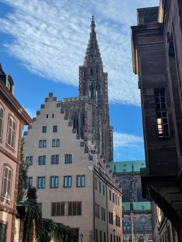 cathedrale mercredi run