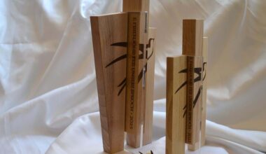 Ouverture des candidatures aux Trophées des Schwälmele 2026 - Collectivité européenne d'Alsace