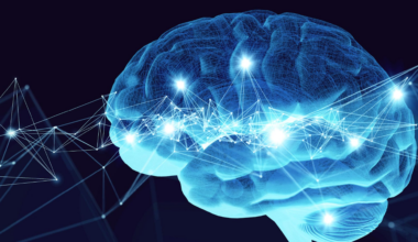 Ce nutriment méconnu pourrait protéger votre cerveau du déclin cognitif