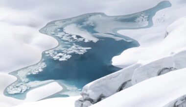 la nature et les glaciers à l'honneur au cœur des Alpes