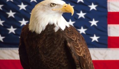 Charts USA : Battlefield 6, Pokémon et Ghost of Yotei portent un gros mois d'octobre - Actu