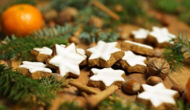 Nos idées sorties du week-end des 28, 29 et 30 novembre 2025 dans la Loire