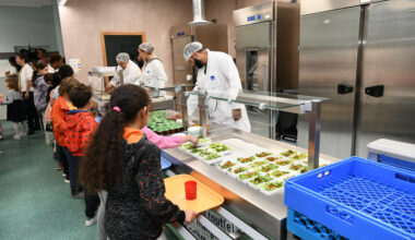 que contient le rapport de la Chambre régionale des comptes ?