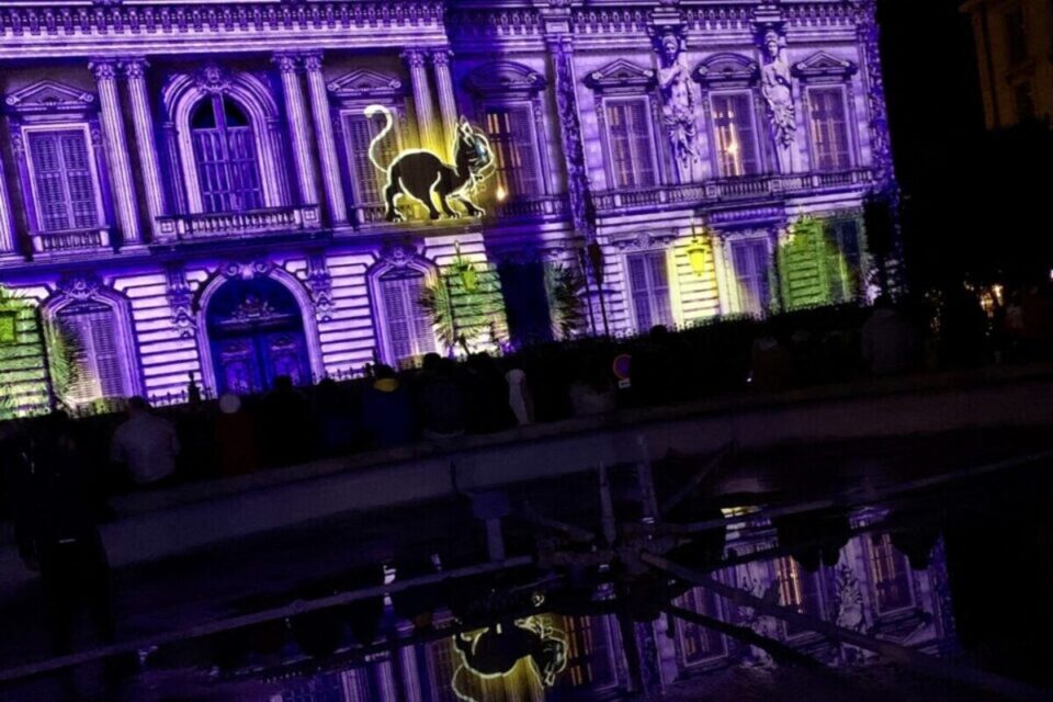 – Des mappings géants sont projetés sur les façades du centre historique.