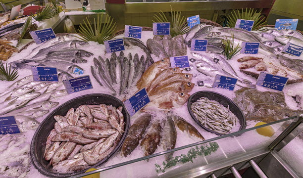 Crédit photos : Julien SESIA