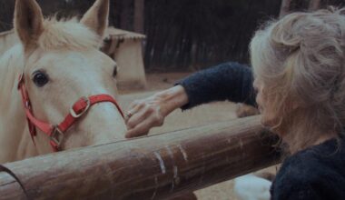 Bardot , le documentaire-testament adoubé par B.B. - Le Figaro