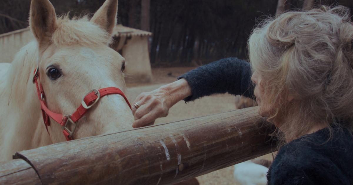 Bardot , le documentaire-testament adoubé par B.B. - Le Figaro