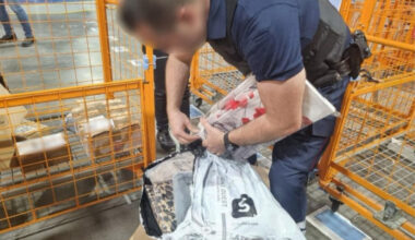 des colis Shein contrôlés par la douane et la répression des fraudes