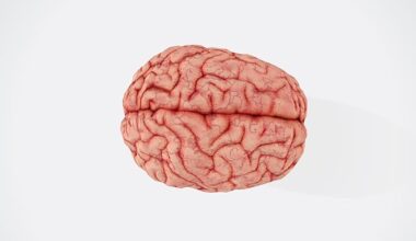 Page d'accueil Yahoo news