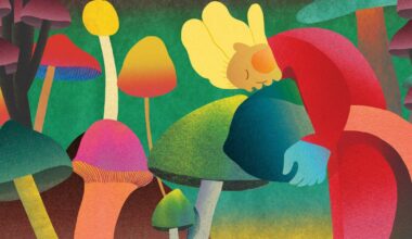 Pourquoi la psilocybine va être autorisée dans un premier pays en Europe