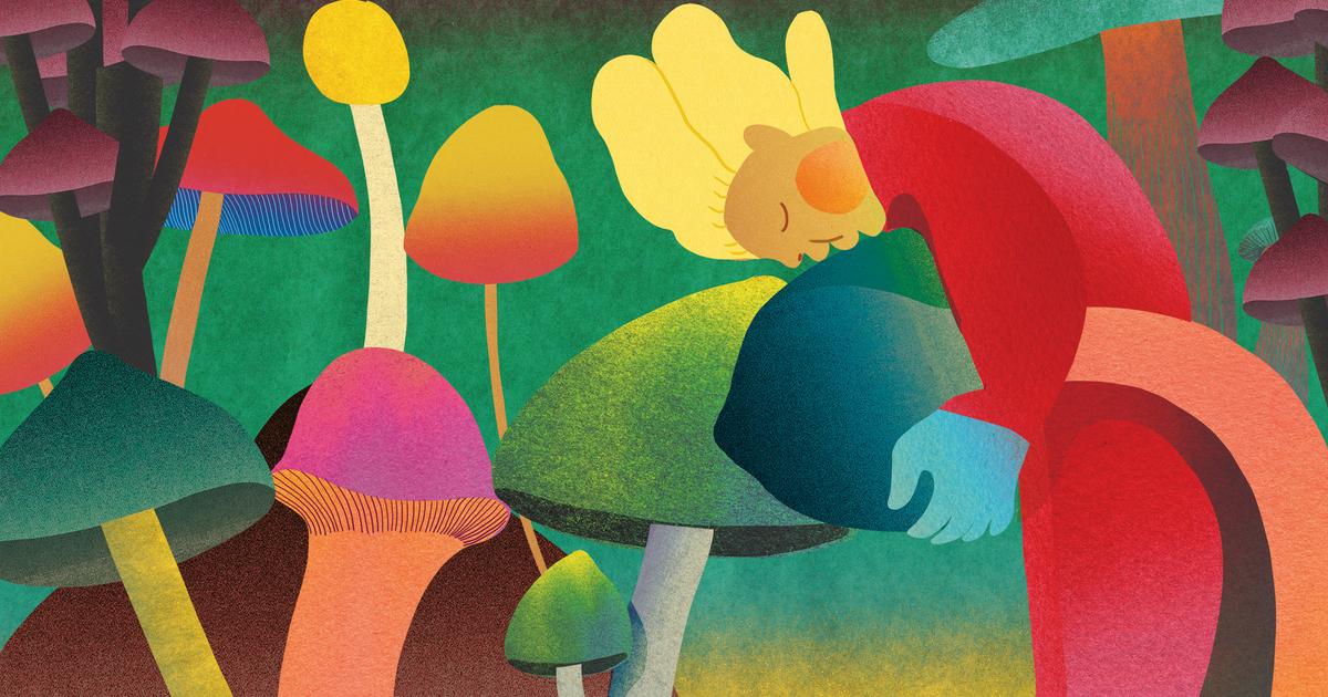 Pourquoi la psilocybine va être autorisée dans un premier pays en Europe