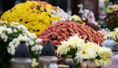 ce que les Français dépensent vraiment pour les fleurs
