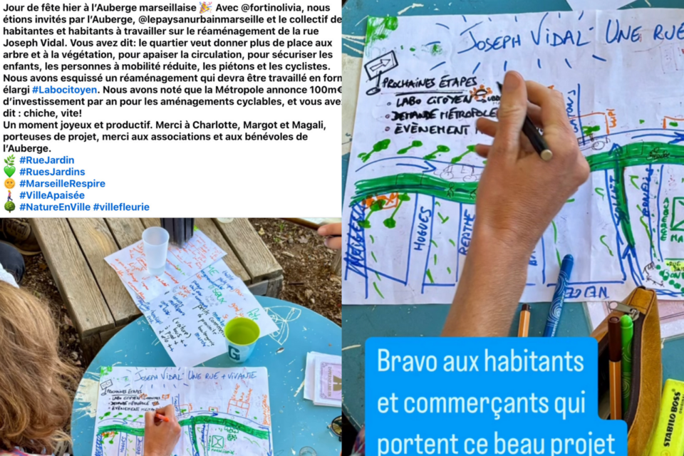 Les posts d'Anne Meilhac, retirés depuis.