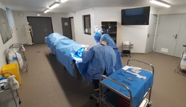 Lille. Ils ont donné leur corps à la science, la fac de médecine de la Catho les remercie