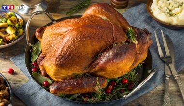 États-Unis : pourquoi la dinde est-elle devenue le repas de Thanksgiving ?