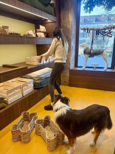 Dog Society boutique chien strasbourgIMG_9212