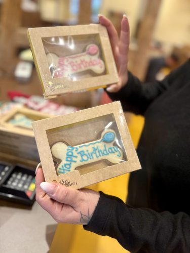 Dog Society boutique chien strasbourgIMG_9222