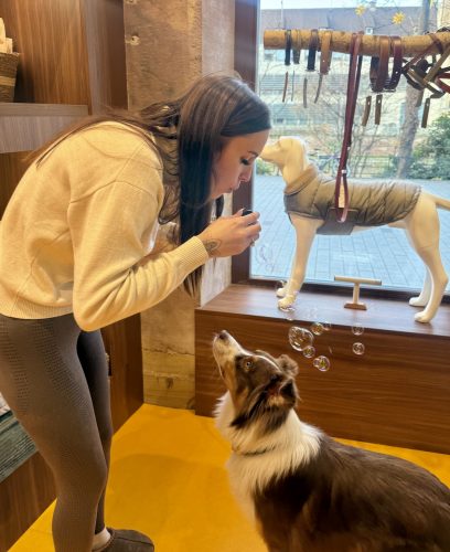 Dog Society boutique chien strasbourgIMG_9226