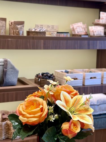 Dog Society boutique chien strasbourgIMG_9253