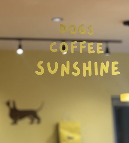 Dog Society boutique chien strasbourgIMG_9257