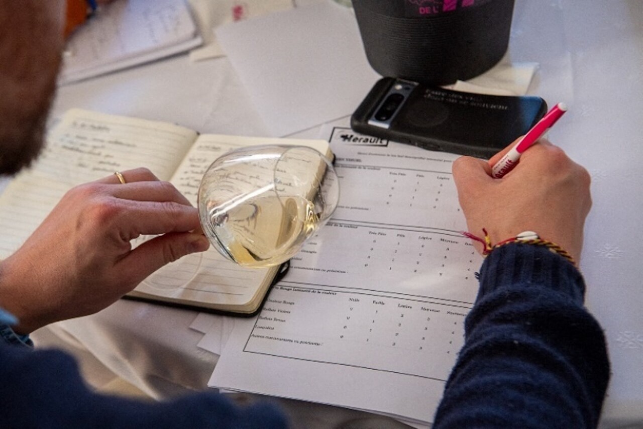 quand les vins de l’Hérault passent le test du temps