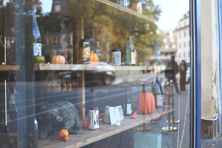 l’ours mal léché