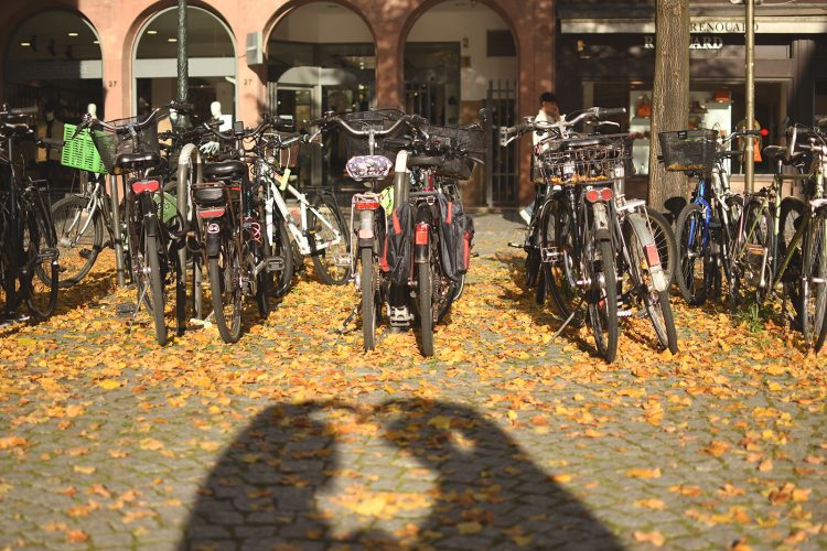 vélo automne